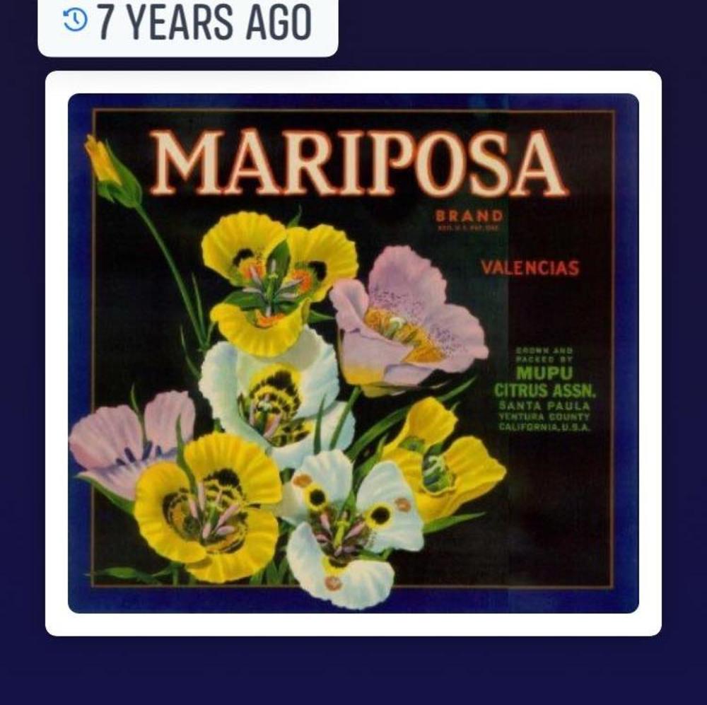 Meet your Posher, Patricia